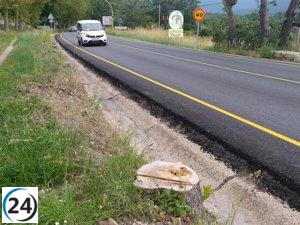 Organizaciones ambientalistas alertan sobre la deforestación en Valsaín y La Granja.