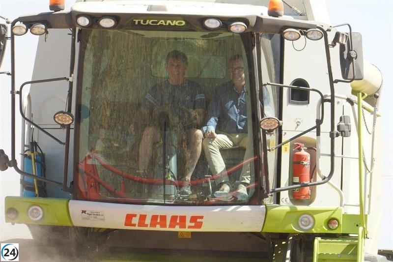 La producción de cereal cae un 37% y su valor disminuye un 53%