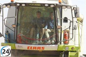 La producción de cereal cae un 37% y su valor disminuye un 53%