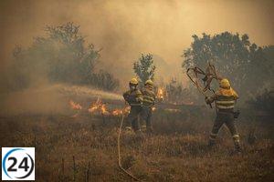 Ayudas de 475.000 euros destinadas a 16 propietarios damnificados por los incendios forestales
