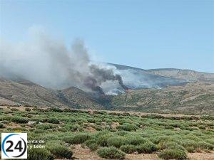 Continúa ardiendo el fuego en Aliseda de Tormes (Ávila) manteniendo nivel 1 de peligro
