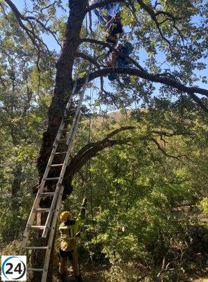 Rescatan a parapentista atrapado en árbol en Casas del Puerto (Ávila).