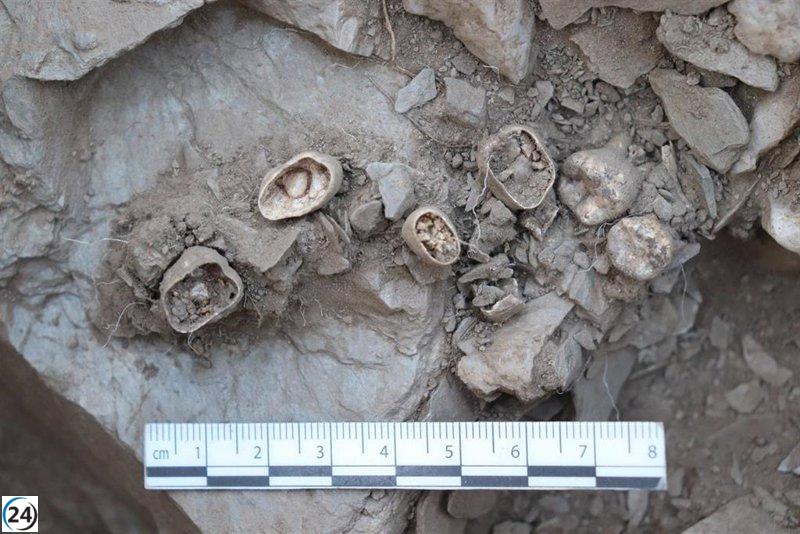 Descubren restos de un niño de la Edad del Cobre en el dolmen de Santa Inés (Segovia)