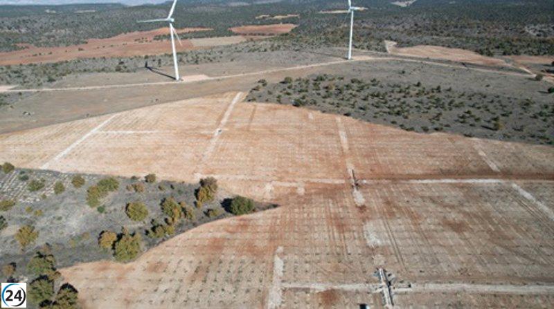 El Gobierno regional impulsa la plantación de más de 500 hectáreas de truferas en CyL mediante ayudas financieras