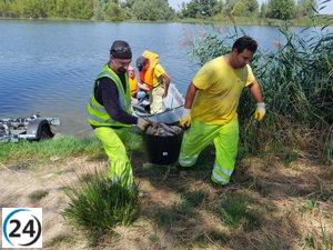 La elevada acidez y temperaturas, causantes de la mortandad de peces en el río Duero en Villaralbo (Zamora)