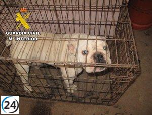 Propietarios de criadero 