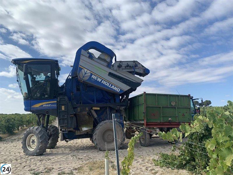 Grupo Pistacyl impulsa viticultura de precisión en 3.000 hectáreas de viñedos de CyL y otras CCAA.