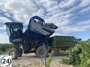 Grupo Pistacyl impulsa viticultura de precisión en 3.000 hectáreas de viñedos de CyL y otras CCAA.