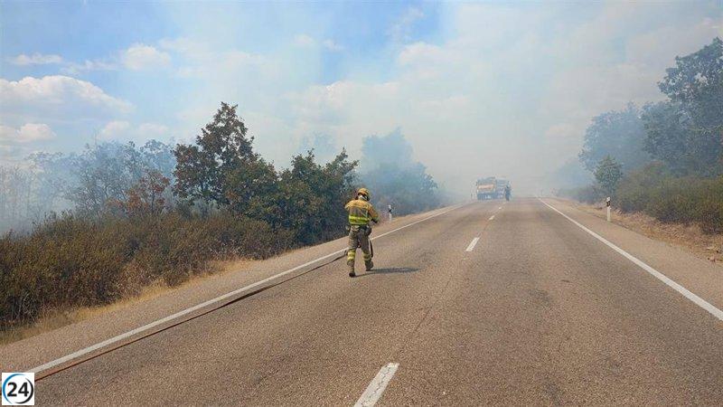 Colilla mal apagada provoca incendio forestal y cierre de la N-122.