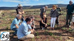 La Junta destinará 50 millones en la próxima década para la restauración de la Sierra de la Culebra.