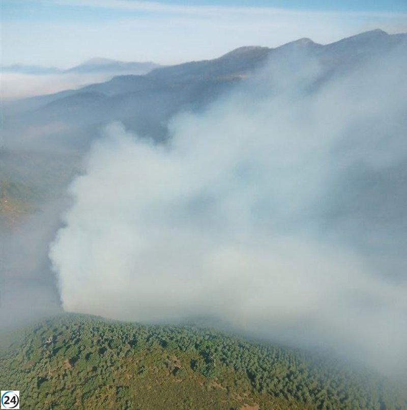 Declarado un incendio de nivel 1 en el Parque de la Montaña de Riaño y Mampodre, en León.