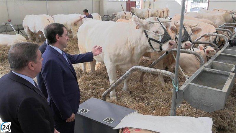 Mañueco elogia la fidelidad de CyL a España y critica la discriminación contra aquellos que no creen en la unidad.