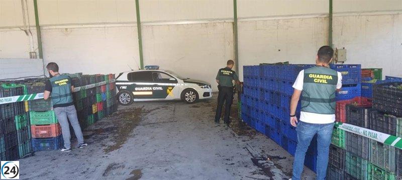 Descubiertos más de 19.600 kilos de uva no local en ruta a la DO Valdeorras, el origen en Medina.