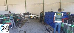 Descubiertos más de 19.600 kilos de uva no local en ruta a la DO Valdeorras, el origen en Medina.