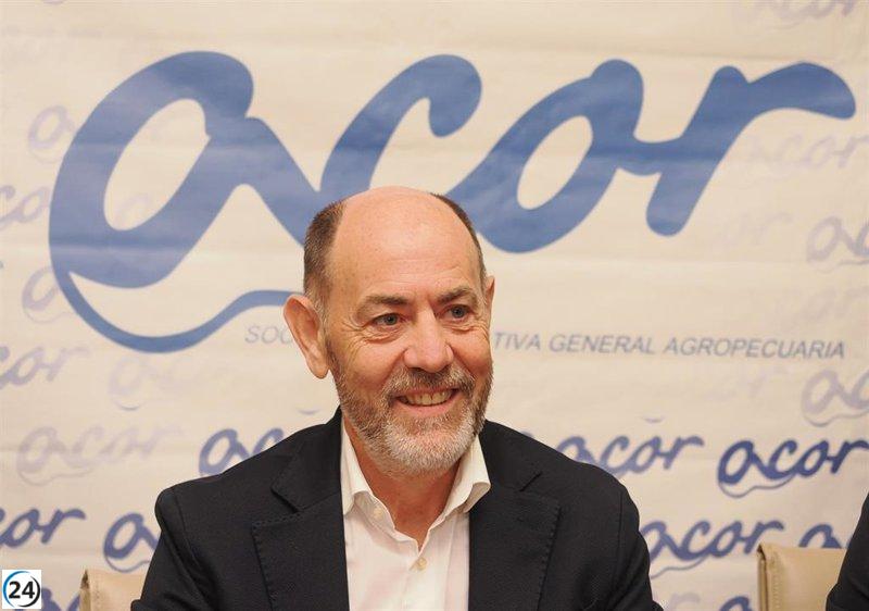 Acor se benefició con un crecimiento del 70% en las ventas de azúcar, triplicando sus beneficios a 25 millones durante la campaña 2022-2023.