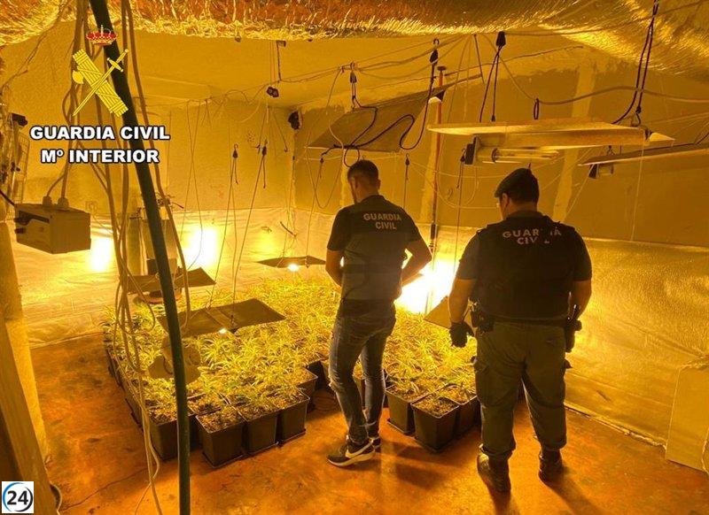 Desmantelan en Las Merindades (Burgos) una plantación de marihuana en interiores y un punto de venta