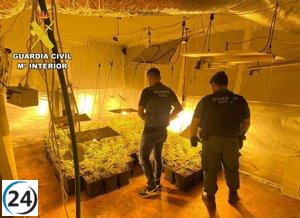 Desmantelan en Las Merindades (Burgos) una plantación de marihuana en interiores y un punto de venta