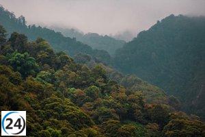Se pronuncia la Junta ante el cambio climático, disminuyendo el riesgo de incendios forestales