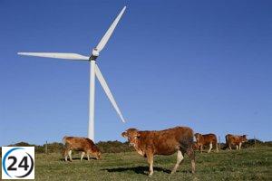 La Junta busca adaptar la legislación para evitar la instalación de energías renovables en áreas vinícolas