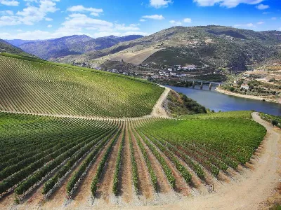 Ruta de la Ribera del Duero