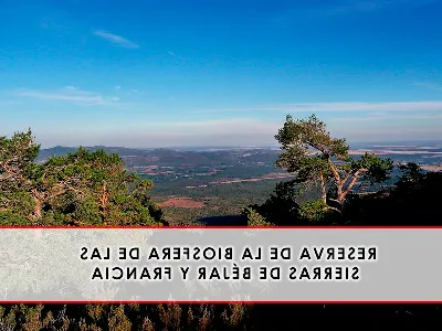 La flora de las Sierras de Béjar y Francia, una explosión de vida
